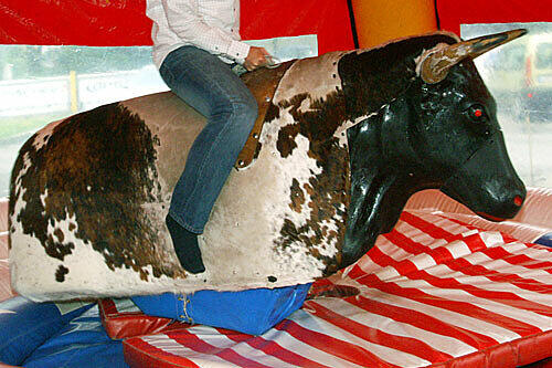 Beim Bullriding verletzte sich ein 28-Jähriger schwer (Symbolbild)