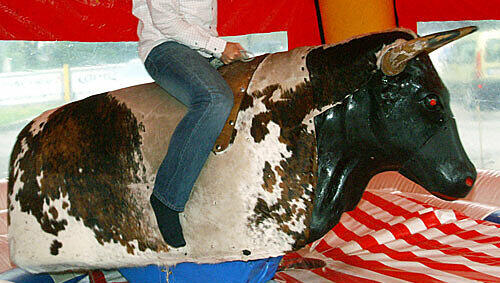 Beim Bullriding verletzte sich ein 28-Jähriger schwer (Symbolbild) Beim Bullriding verletzte sich ein 28-Jähriger schwer (Symbolbild)