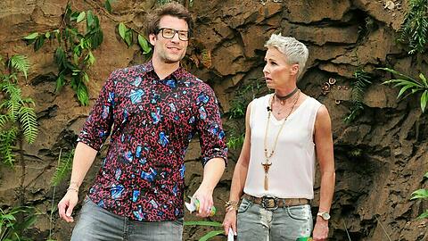 Daniel Hartwich und Sonja Zietlow werden einmal mehr die Moderation des RTL-Dschungelcamps übernehmen