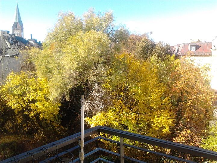 Ein Blick ins Grüne - und das mitten in der Stadt.