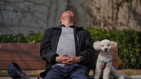 Haustiere werden in China immer beliebter, w&auml;hrend die Geburtenrate auf einem Rekordtief steht. (Symbolbild)