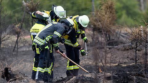 Versteckte Glutnester werden die Feuerwehrleute noch einige Tage nach dem Waldbrand auf der Saalfelder Höhe beschäftigen.