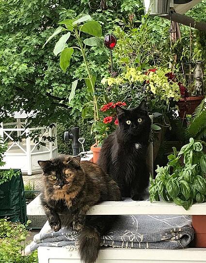 Prinzessin und Schnecke