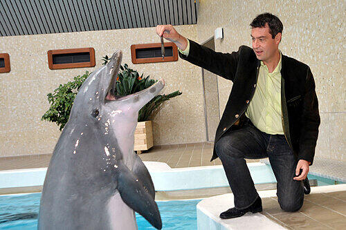 Gaaaaanz vorsichtig: der bayerische Umweltminister Minister Markus Söder bei der Fütterung von Delfin &bdquo;Moby&ldquo;.
