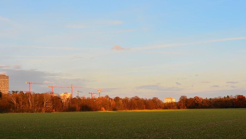 Allach: Baukran-Wald vor richtigem Wald.