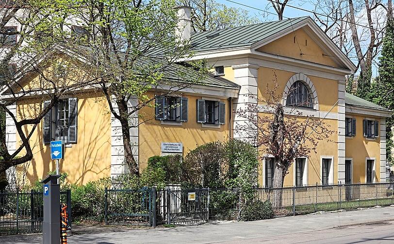 Die Anthropologische Sammlung in einem klassizistischen Mini-Palais.