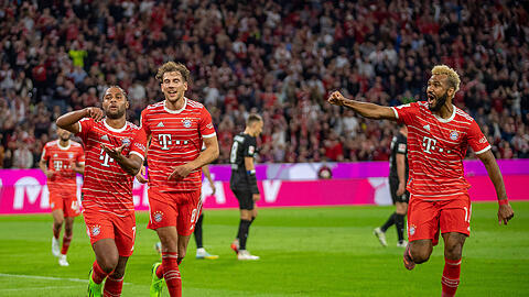 Der Torreigen-Eröffner: Bereits in der 13. Minute trifft Serge Gnabry zum 1:0 für den FC Bayern im Topspiel gegen den SC Freiburg. Am Ende heißt es 5:0 für den Serienmeister aus München.