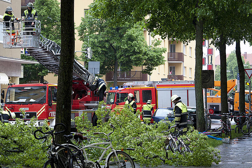 Die Feuerwehrmänner zerkleineren den Baum, dann wir er abtransportiert. Nach etwa eineinhalb Stunden ist die Hiltenspergerstraße wieder komplett frei.