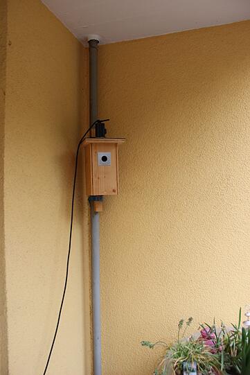 Das Vogel-Häuschen mit Videokamera auf dem Balkon von Felicia Englmann.