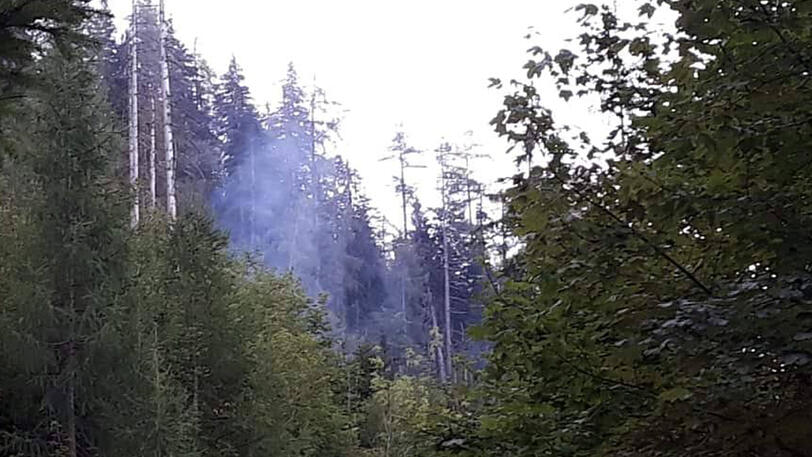 Aktuelle Bilder aus dem Nationalpark Berchtesgadener Land.