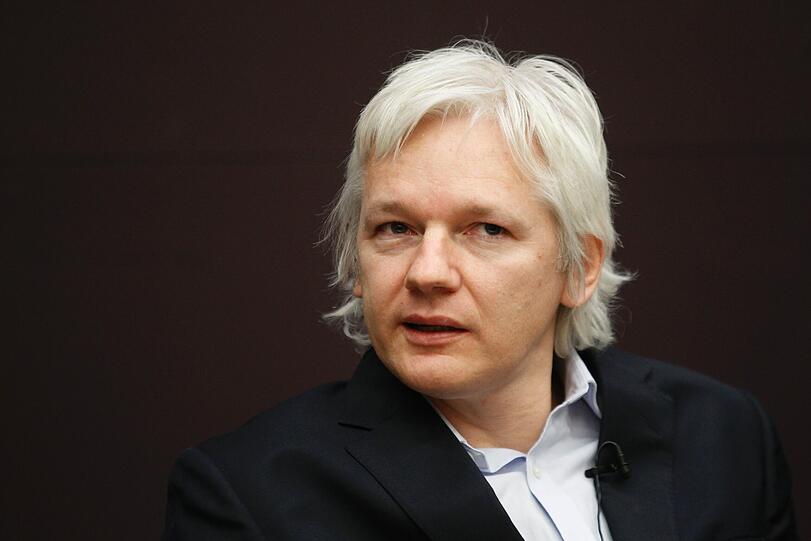 Julian Assange, Wikileaks-Gründer