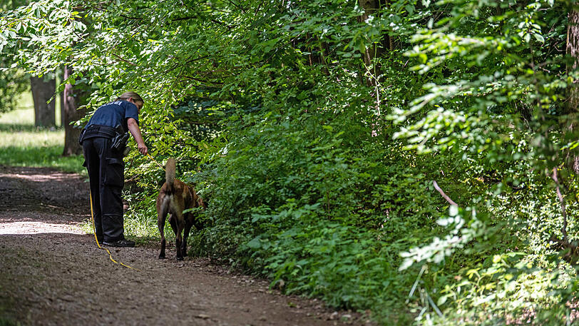 Die Polizei sucht ein Waldstück in der Nähe des Tatorts ab.