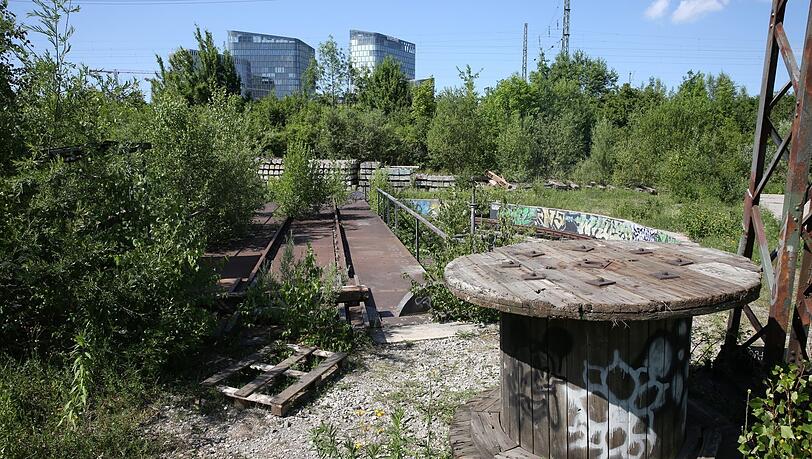 Im Gleispark Baumkirchen hat sich die Natur eine einstige Bahnanlage zurückerobert. Der Park ist inzwischen erschlossen worden. Im Gleispark Baumkirchen hat sich die Natur eine einstige Bahnanlage zurückerobert. Der Park ist inzwischen erschlossen worden.
