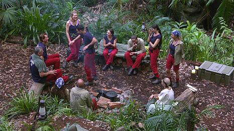 Stolperfallen will man verhindern: Um die Schlafpl&auml;tze herum wurde Rindenmulch ausgelegt