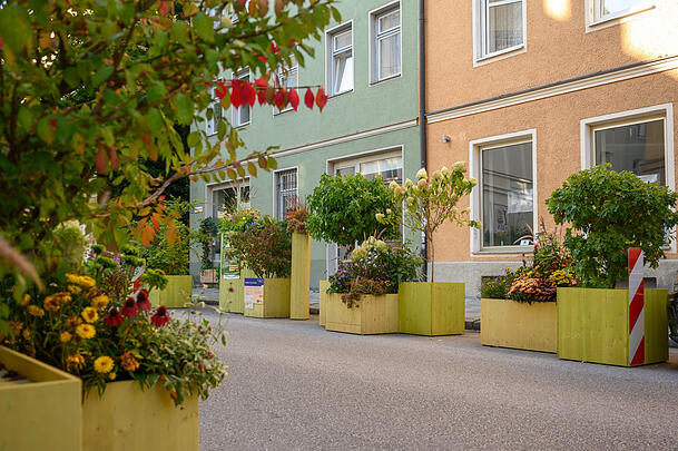 Parklets sind nicht nur Sitzmöbel: In der Parkstraße wurden vor allem Pflanzen aufgestellt. Parklets sind nicht nur Sitzmöbel: In der Parkstraße wurden vor allem Pflanzen aufgestellt.