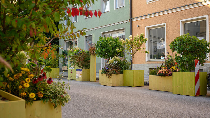 Parklets sind nicht nur Sitzmöbel: In der Parkstraße wurden vor allem Pflanzen aufgestellt. Parklets sind nicht nur Sitzmöbel: In der Parkstraße wurden vor allem Pflanzen aufgestellt.