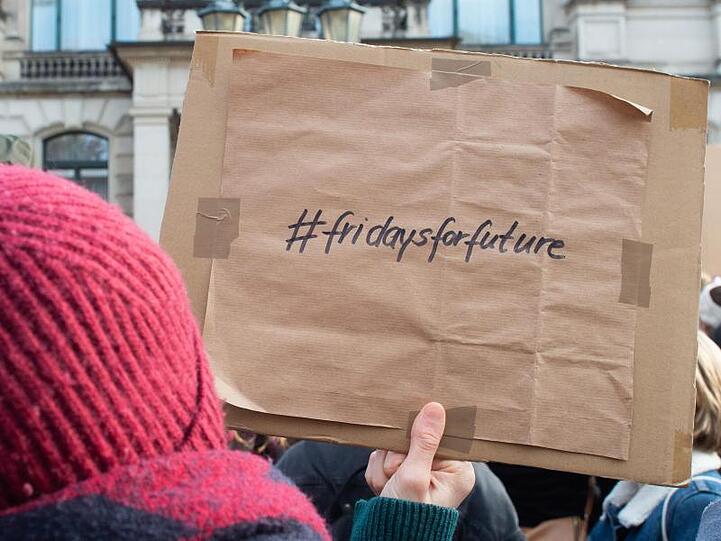Auf der Rückseite eines Schildes ist das Motto "#Fridays for Future" zu lesen, aufgenommen in Sachsen-Anhalt. Foto: Klaus-Dietmar Gabbert