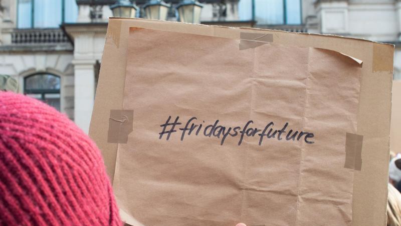 Auf der Rückseite eines Schildes ist das Motto "#Fridays for Future" zu lesen, aufgenommen in Sachsen-Anhalt. Foto: Klaus-Dietmar Gabbert Auf der Rückseite eines Schildes ist das Motto "#Fridays for Future" zu lesen, aufgenommen in Sachsen-Anhalt. Foto: Klaus-Dietmar Gabbert