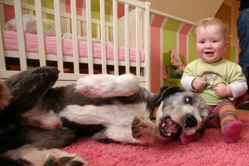 Familienhund Grisu lässt die kleine Maike nicht aus den Augen. Für seine jüngste Tochter pausiert der Papa im Landratsamt.