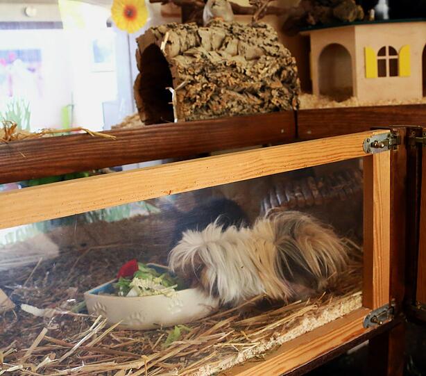 Zu Besuch bei den Heuwuslern: Mehr Bilder.