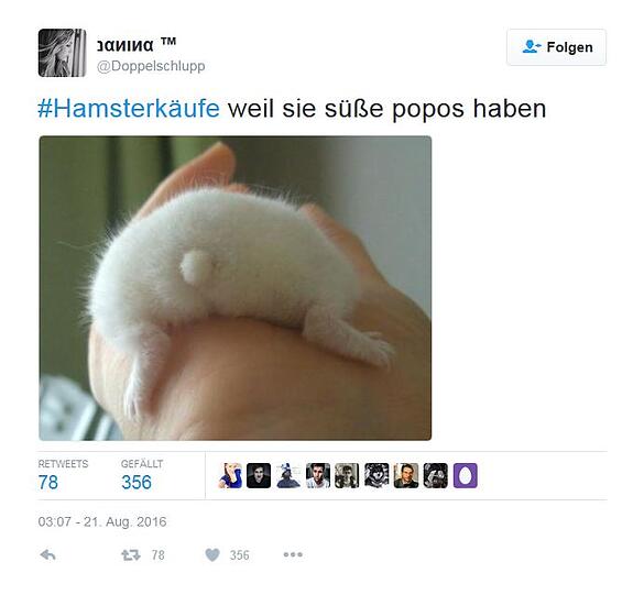 So amüsieren sich Twitter-User über die Hamsterkäufe im Konzept zur Zivilverteidigung.