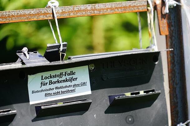 Mit dieser Falle ermitteln die Förster, wie groß der Schädlingsbefall ist. Mit dieser Falle ermitteln die Förster, wie groß der Schädlingsbefall ist.