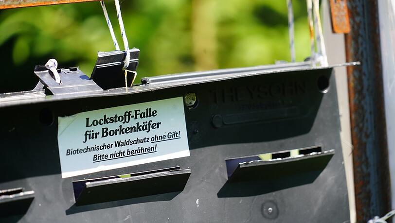 Mit dieser Falle ermitteln die Förster, wie groß der Schädlingsbefall ist. Mit dieser Falle ermitteln die Förster, wie groß der Schädlingsbefall ist.