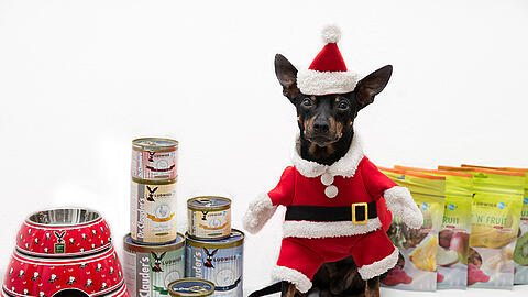 Ludwig im Weihnachtsmann-Kostüm &ndash; aber nur für&rsquo;s Foto.