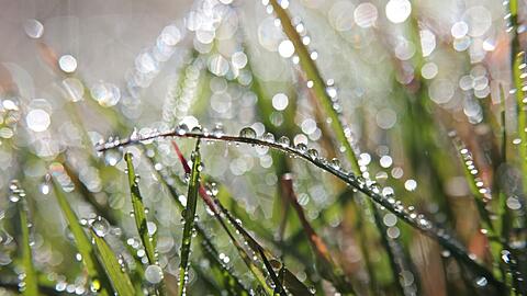 Für das Wochenende ist wechselhaftes Wetter angekündigt.