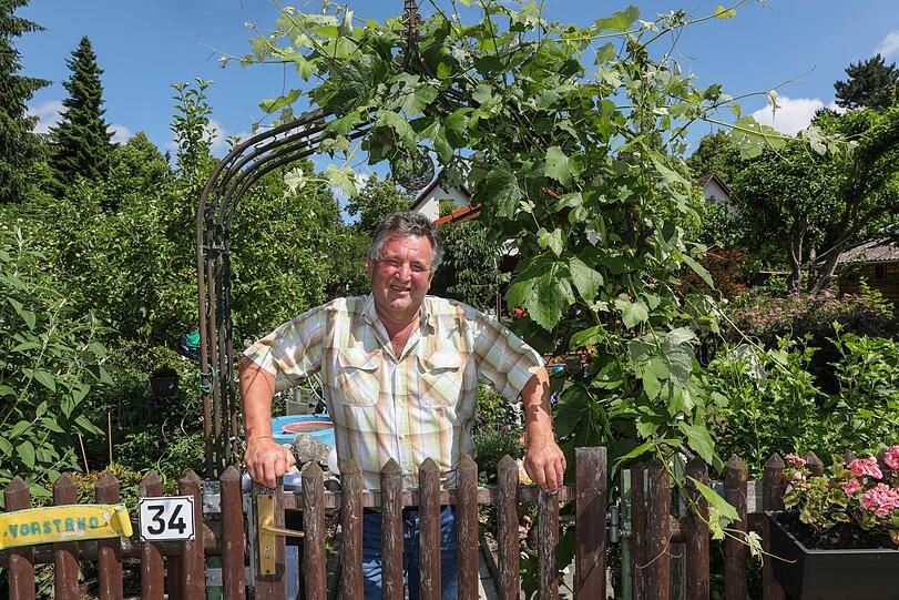 Anton Pollinger ist Erster Vorstand im Kleingartenverein Südwest 35. Fotos (6): Bernd Wackerbauer