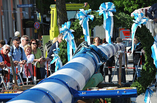 Was für ein Maibaum: 5,6 Tonnen schwer und 37 Meter lang.