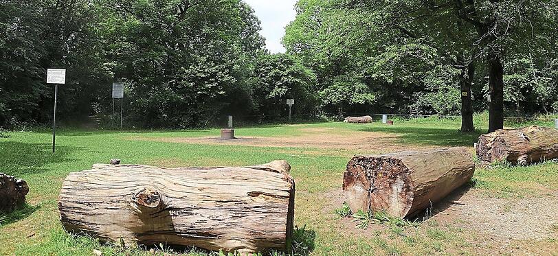 Damit künftig jeder weiß, wie der Hase in Gretlmühle läuft: Der bisher nur locker mit Baumstämmen abgegrenzte Grillbereich soll mit einer durchgehenden Planke begrenzt werden. Außerdem sollen Hinweisschilder darauf hinweisen, dass Grillen außerhalb dieses Bereichs verboten ist.