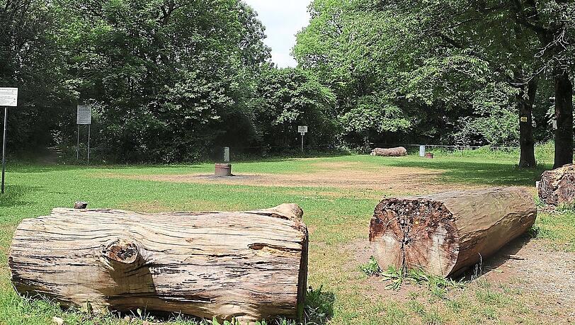 Damit künftig jeder weiß, wie der Hase in Gretlmühle läuft: Der bisher nur locker mit Baumstämmen abgegrenzte Grillbereich soll mit einer durchgehenden Planke begrenzt werden. Außerdem sollen Hinweisschilder darauf hinweisen, dass Grillen außerhalb dieses Bereichs verboten ist. Damit künftig jeder weiß, wie der Hase in Gretlmühle läuft: Der bisher nur locker mit Baumstämmen abgegrenzte Grillbereich soll mit einer durchgehenden Planke begrenzt werden. Außerdem sollen Hinweisschilder darauf hinweisen, dass Grillen außerhalb dieses Bereichs verboten ist.