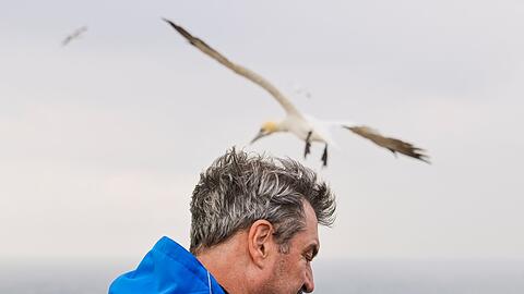 Unweit der Langen Anna, Wahrzeichen der Hochseeinsel Helgoland, informieret sich CSU-Chef Markus Söder über die Vogelwelt.