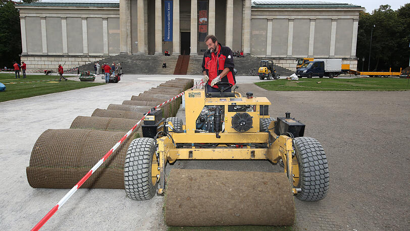 700 Kilogramm wiegen die Rasenrollen, die der Ingolstädter Karl Schmidt derzeit am Königsplatz auslegt.