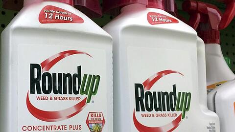 Behälter mit Roundup, einem Unkrautvernichter von Monsanto. Bayer könnte den Streit um angebliche Krebsgefahren von Glyphosat-haltigen Unkrautvernichtern in den USA möglicherweise für zehn Milliarden US-Dollar beilegen.