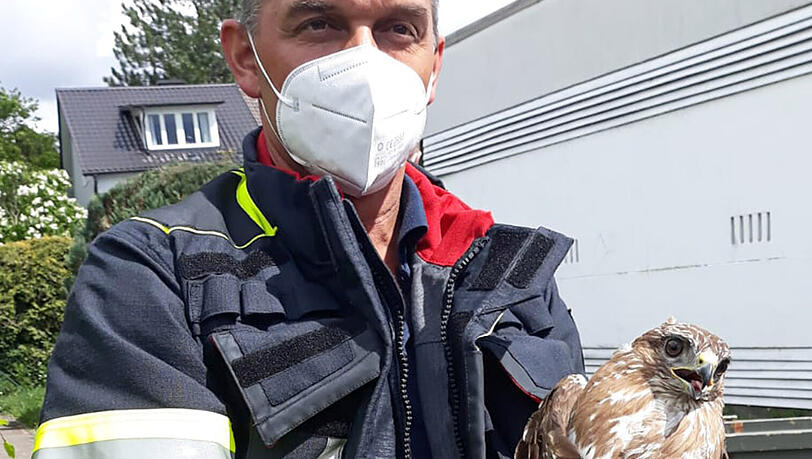 Der Vogel und sein Retter.