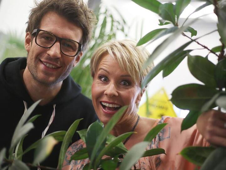Fungieren wieder als Gastgeber und Kommentatoren im Dschungelcamp: Sonja Zietlow und Daniel Hartwich.