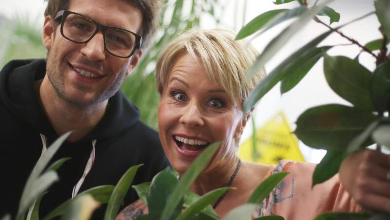 Fungieren wieder als Gastgeber und Kommentatoren im Dschungelcamp: Sonja Zietlow und Daniel Hartwich. Fungieren wieder als Gastgeber und Kommentatoren im Dschungelcamp: Sonja Zietlow und Daniel Hartwich.