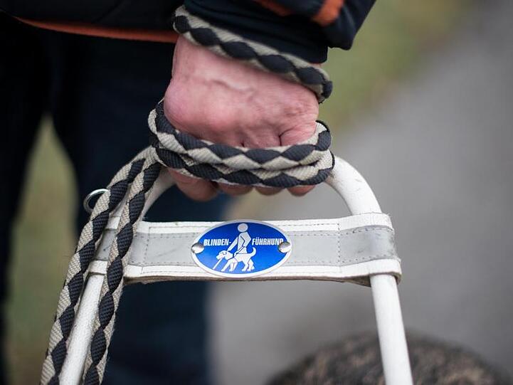Mit dem Blindenführhund sicher überall hinkommen.
