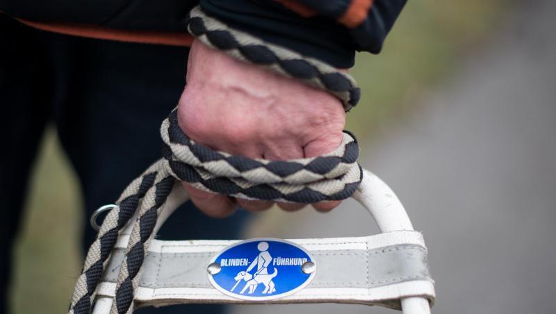 Mit dem Blindenführhund sicher überall hinkommen. Mit dem Blindenführhund sicher überall hinkommen.
