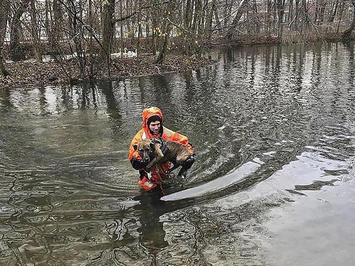 In einem sogenannten Überlebensanzug trägt ein Feuerwehrmann Hündin Inci durch Wasser zurück an Land. Foto: Berufsfeuerwehr München/dpa
