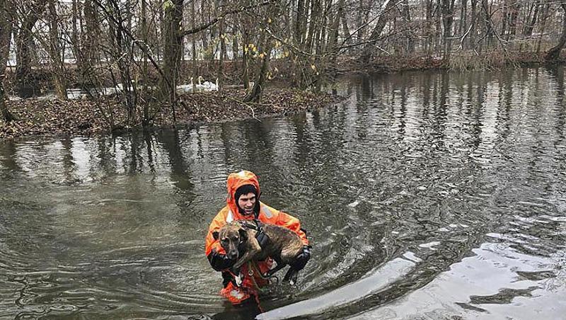In einem sogenannten Überlebensanzug trägt ein Feuerwehrmann Hündin Inci durch Wasser zurück an Land. Foto: Berufsfeuerwehr München/dpa In einem sogenannten Überlebensanzug trägt ein Feuerwehrmann Hündin Inci durch Wasser zurück an Land. Foto: Berufsfeuerwehr München/dpa