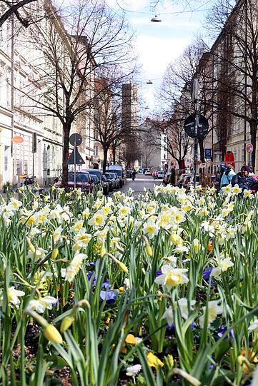 Der jetzt üppig blühende Pariser Platz.