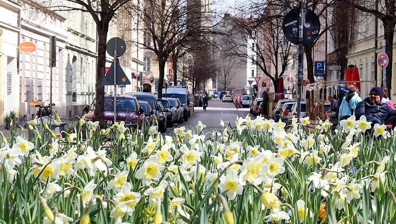 Der jetzt üppig blühende Pariser Platz.
