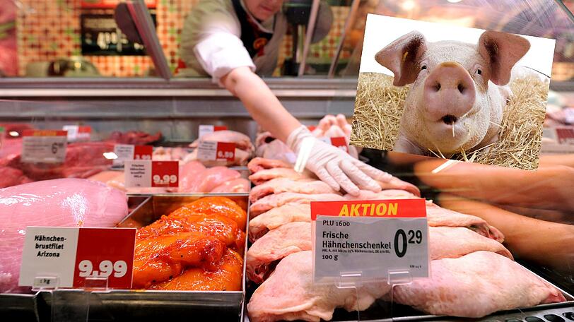 Besserer Tierschutz wird vielen Fleisch-Konsumenten immer wichtiger. Das geplante staatliche Tierwohl-Label soll bessere Orientierung an der Supermarkt-Theke bieten.