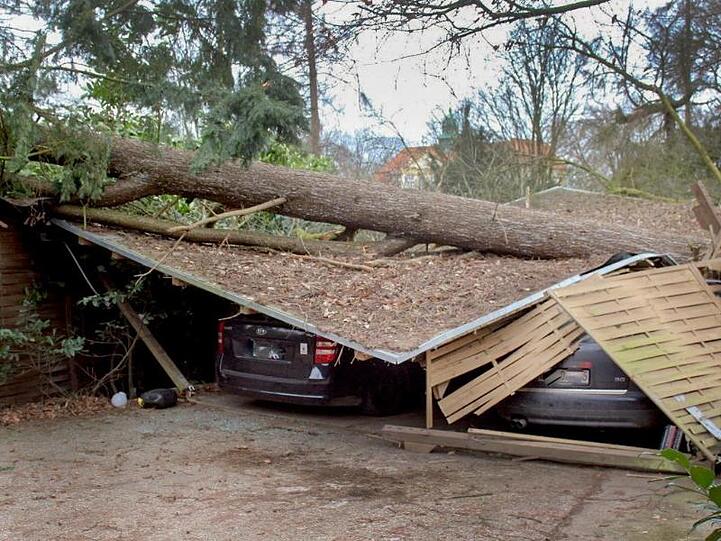 In Viersen am Niederrhein ist ein Baum auf Autostellplätze gestürzt.