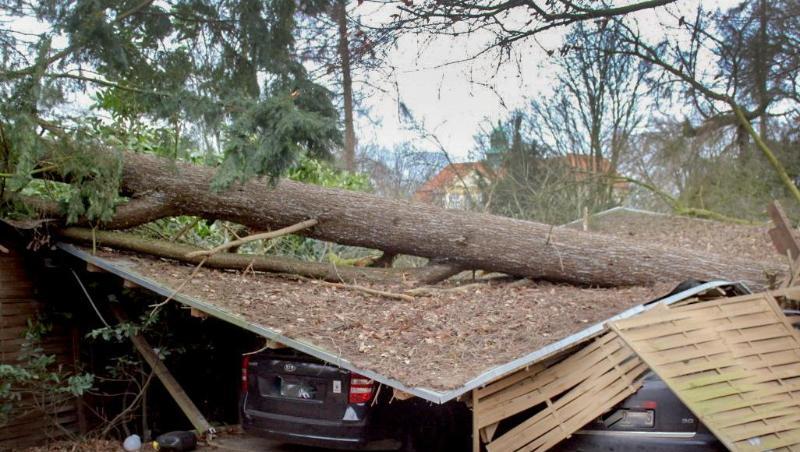 In Viersen am Niederrhein ist ein Baum auf Autostellplätze gestürzt. In Viersen am Niederrhein ist ein Baum auf Autostellplätze gestürzt.