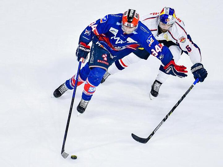 Mannheims Andrew Desjardins (l) und Münchens Daryl Boyle kämpfen um den Puck. Foto: Uwe Anspach