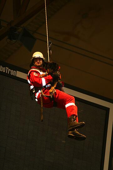 Die Rettungshunde vom Roten Kreuz - und ihre Herrchen - zeigen am Sonntag, 31.März, und Montag, 1. April, in der Olympiahalle während der Internationalen Hundeausstellung ihr Können.